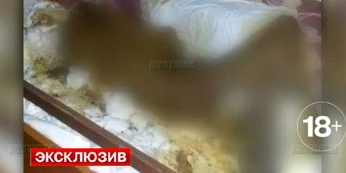 cadavru rusia