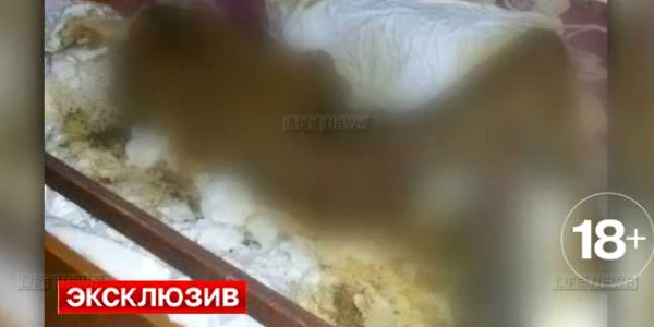 cadavru rusia