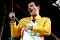 freddie mercury 1 jpeg