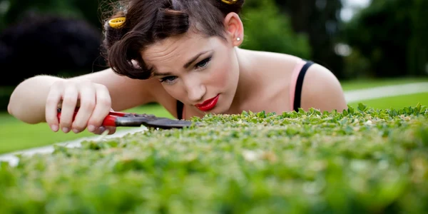 Iarba Shutterstock