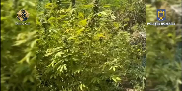 WhatsApp Video 2023 10 06 at 18 13 54 mp4 thumbnail png