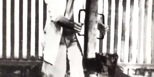 brancusi inedit