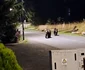 Urșii au ieșit la plimbare prin Poiana Brașov foto: Click!