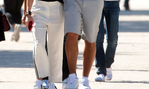 hepta 2973558 jpg jpeg