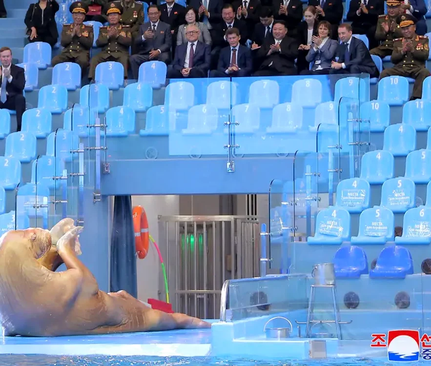 Kim Jong Un, la spectacolul în care vedeta a fost o morsă. FOTO via BusinessInsider