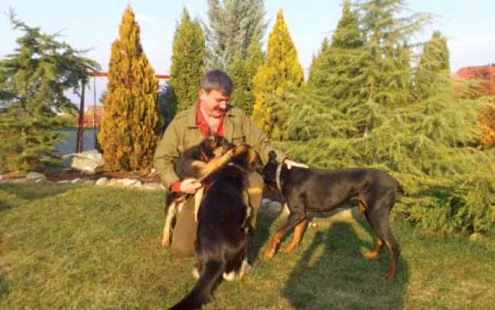 Trofin şi cei trei câini ai familiei: Zoe şi Nera (rasa ciobănesc german) şi dobermanul Cora