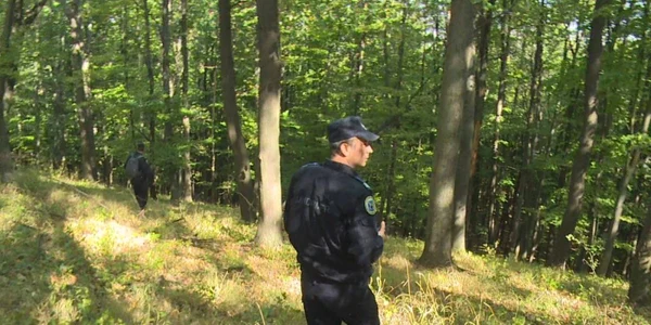 cautari criminal vaslui
