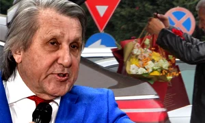 cub ilie nastase png