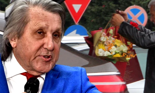 cub ilie nastase png