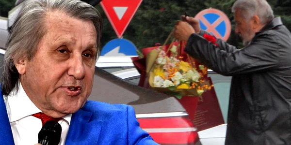 cub ilie nastase png