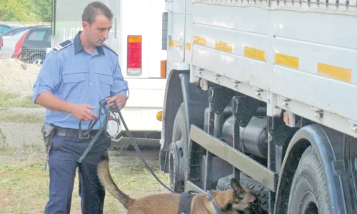 Ciobănescu instructorul lui,  Marius Hadar, au găsit  imigranţi ilegali în autobuze  şi autocamioane jpeg