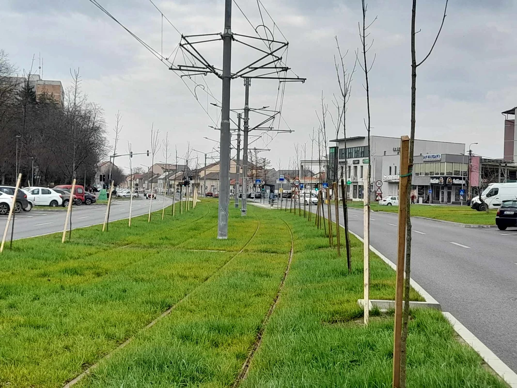 Bulevardul Cetății din Timișoara FOTO Ștefan Both