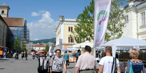 dilema cetate alba