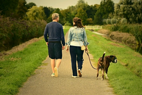 plimbare câine pixabay
