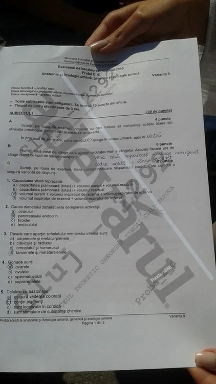 Bac 2015 subiecte