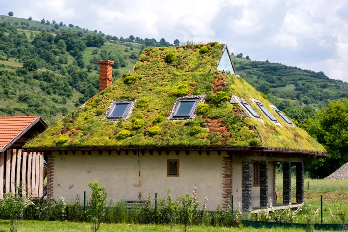 Casă din Harghita FOTO Shutterstock
