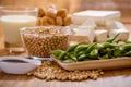 soia foto shutterstock