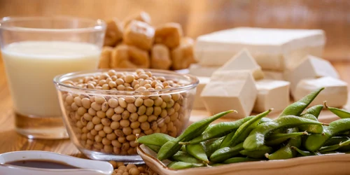 soia foto shutterstock