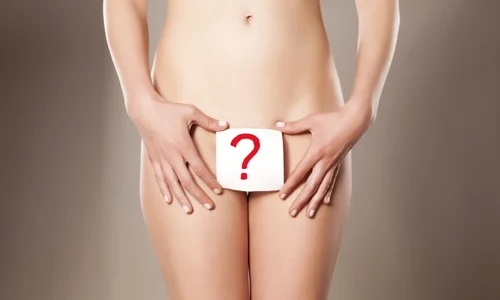 shutterstock 294762803 jpg