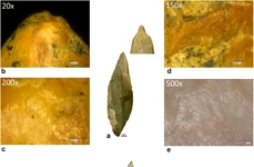 Unelte din os cu capete lustruite, zgârieturi și muchii uzate ddescoperite la Abri 122/1200 (©  Mărgărit et al., Journal of Quaternary Science 2026)