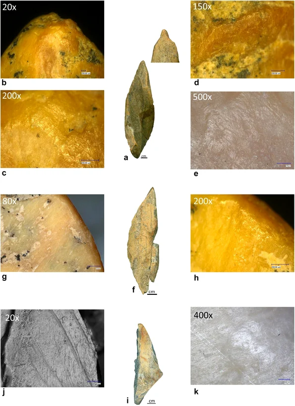 Unelte din os cu capete lustruite, zgârieturi și muchii uzate ddescoperite la Abri 122/1200 (© Mărgărit et al., Journal of Quaternary Science 2026)