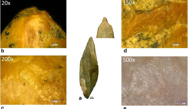 Unelte din os cu capete lustruite, zgârieturi și muchii uzate ddescoperite la Abri 122/1200 (© Mărgărit et al., Journal of Quaternary Science 2026)