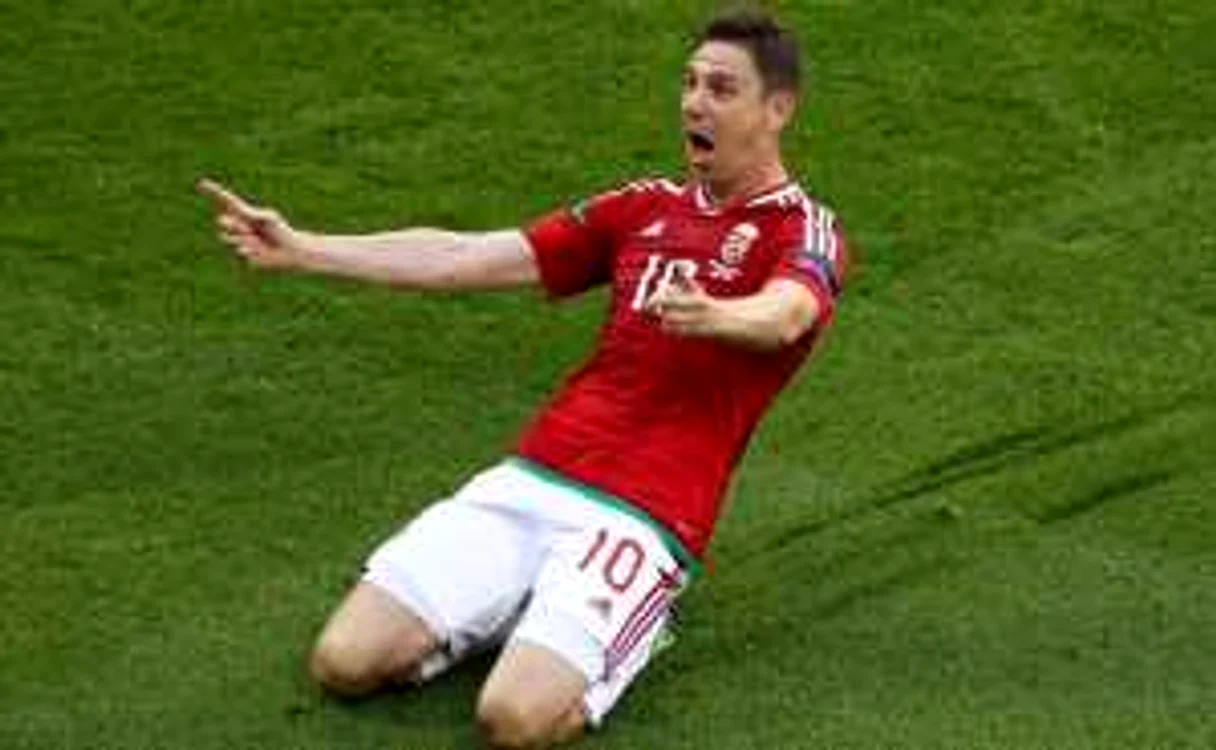 Zoltan Gera