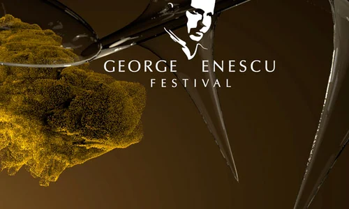 Festivalul George Enescu, Elogiul inactivităţii, „Error 404  Territories of Absence“ jpeg