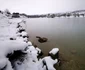 Lacul Cinciș iarna, foto Daniel Guță, ADEVĂRUL (9) jpg