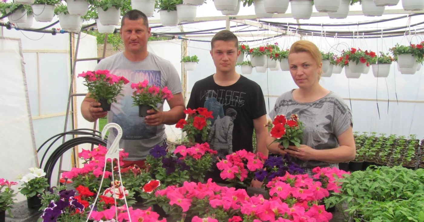 Florile crescute la Andrăşeşti de soţii Dinu au mare succes în pieţe FOTO: M.S.
