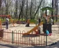 severineii au iesit la plimbare in pădurea crihala FOTO Corina Macavei