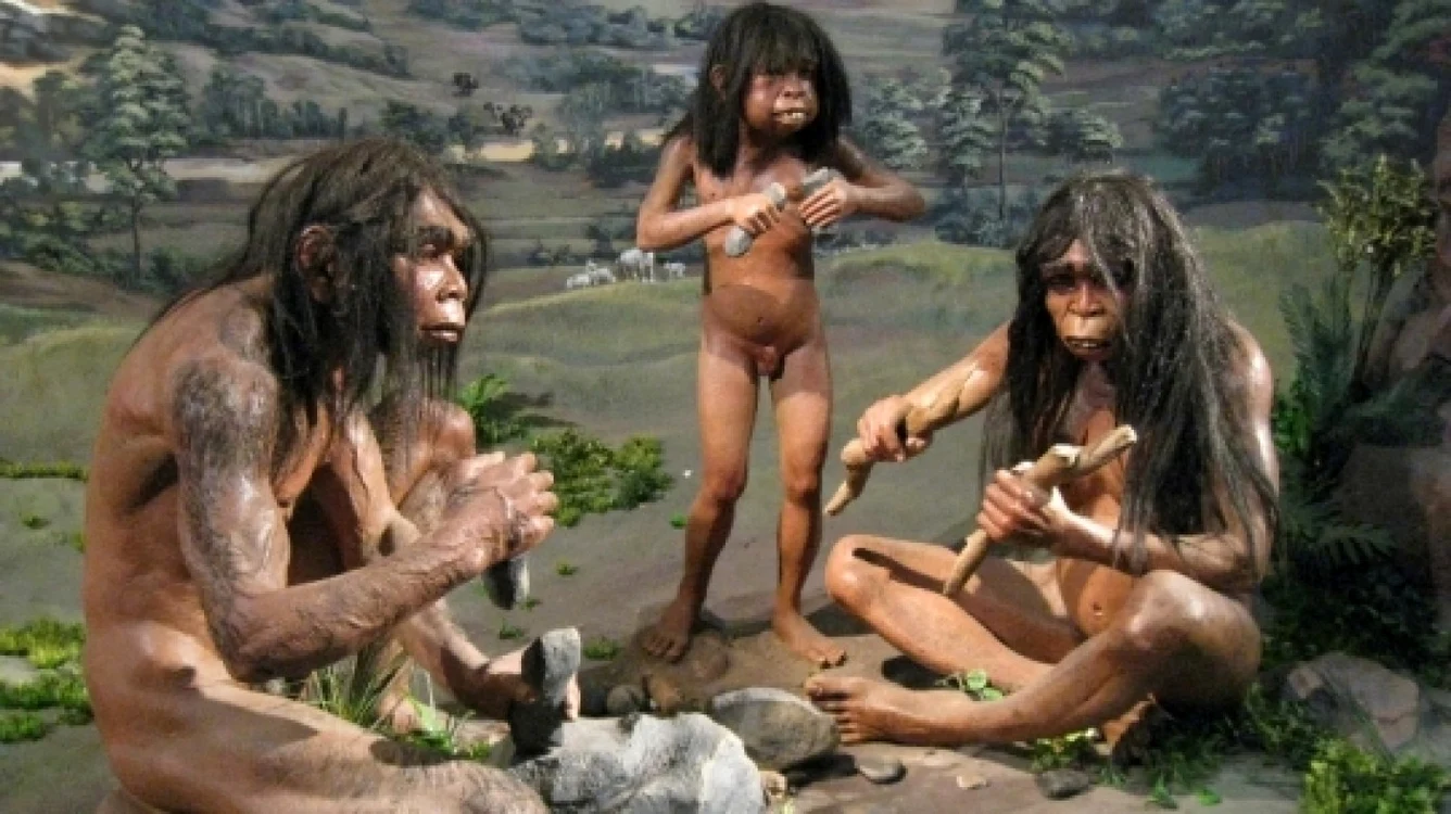 Evolutia omului a avut loc foarte lent FOTO Arhivă