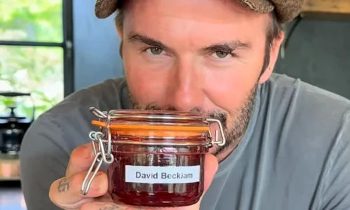 hero david backham plum jam jpg webp