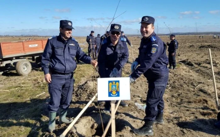 Jandarmi voluntari la campanie de împădurire FOTO Arhivă Adevărul