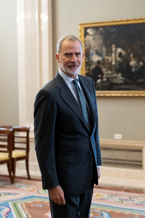 Regele Felipe al Spaniei   profimedia 1033793195 jpg