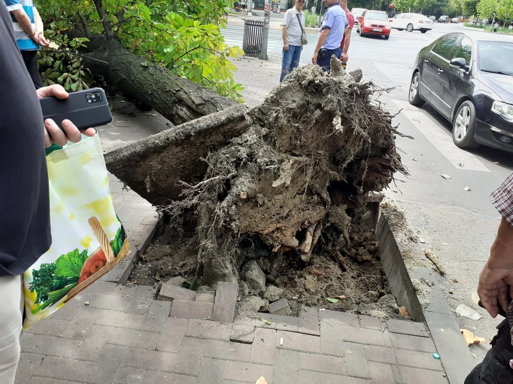 Foto Dan Ștefan / Facebook / Cetățean Sector 3