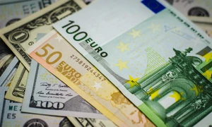 Bani curs valutar jpeg