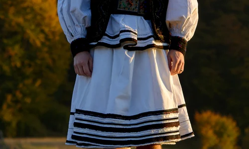 okviorel 253 jpeg