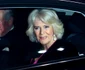 2 charles si camilla la premiera londoneza a filmului 1917 2 jpg jpeg