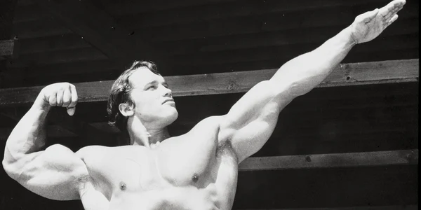 Arnold Schwarzenegger Foto profimedia 0094285792 jpg