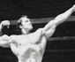 Arnold Schwarzenegger Foto profimedia 0094285792 jpg