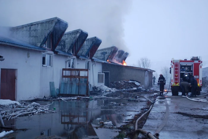 Pompierii au oprit extinderea flăcărilor. FOTO: ISU Hunedoara.