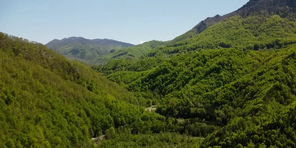 Traseul montan al Lotului Cornetu-Tigveni Autostrada A1 Sibiu-Pitești Foto Daciana Stoica