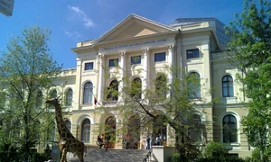 1 muzeul antipa bucuresti jpeg