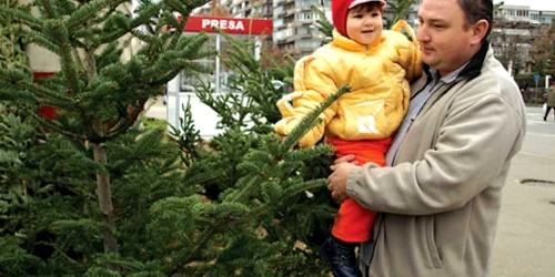 Copiii mici sunt cei care determină părinţii să cumpere un brad scump, cu multe zile înainte de Crăciun