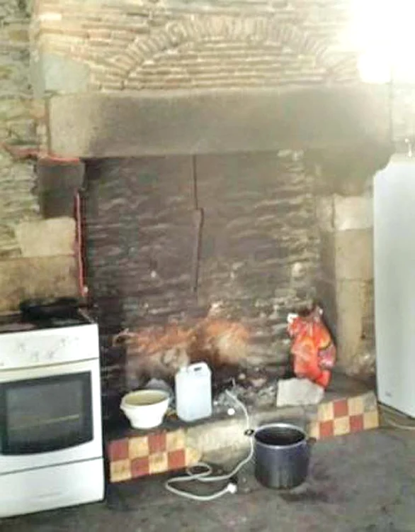 Aici mănâncă şi dorm peste 20 de suflete