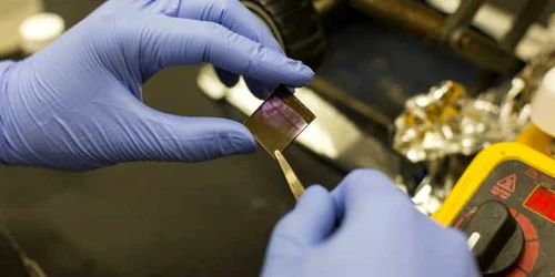 electronic vopsit foto livescience