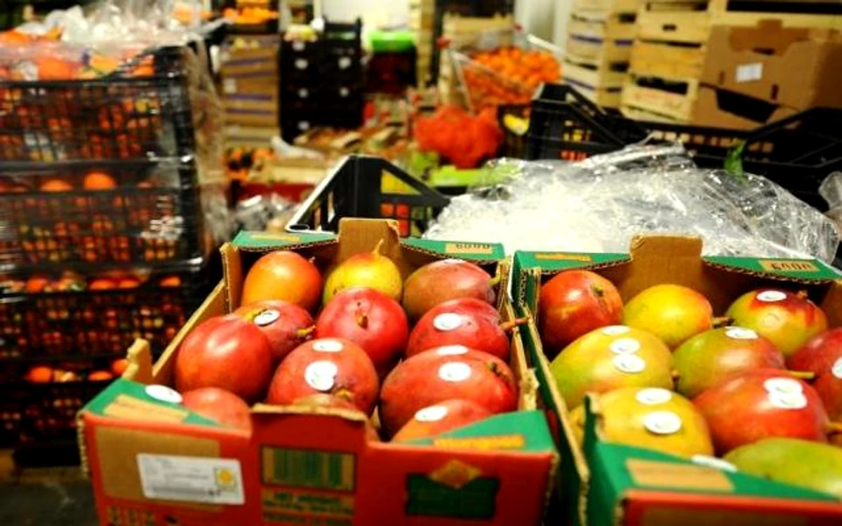 
    Patronii care distribuiau produse Alfredo au fost arestați preventiv  