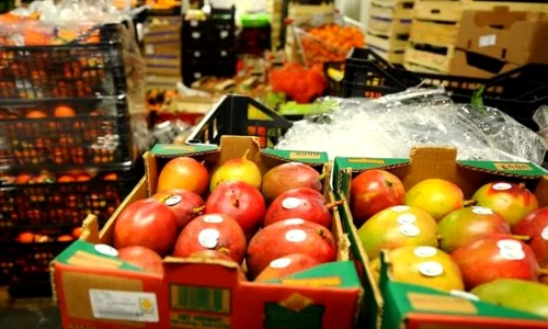 investitii alfredo in logistica de depozitare transport si distributie alimente 2000 jpeg