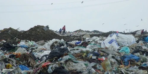 Cadavrul unui nou născut a fost găsit ieri, în jurul amiezii, la groapa de gunoi